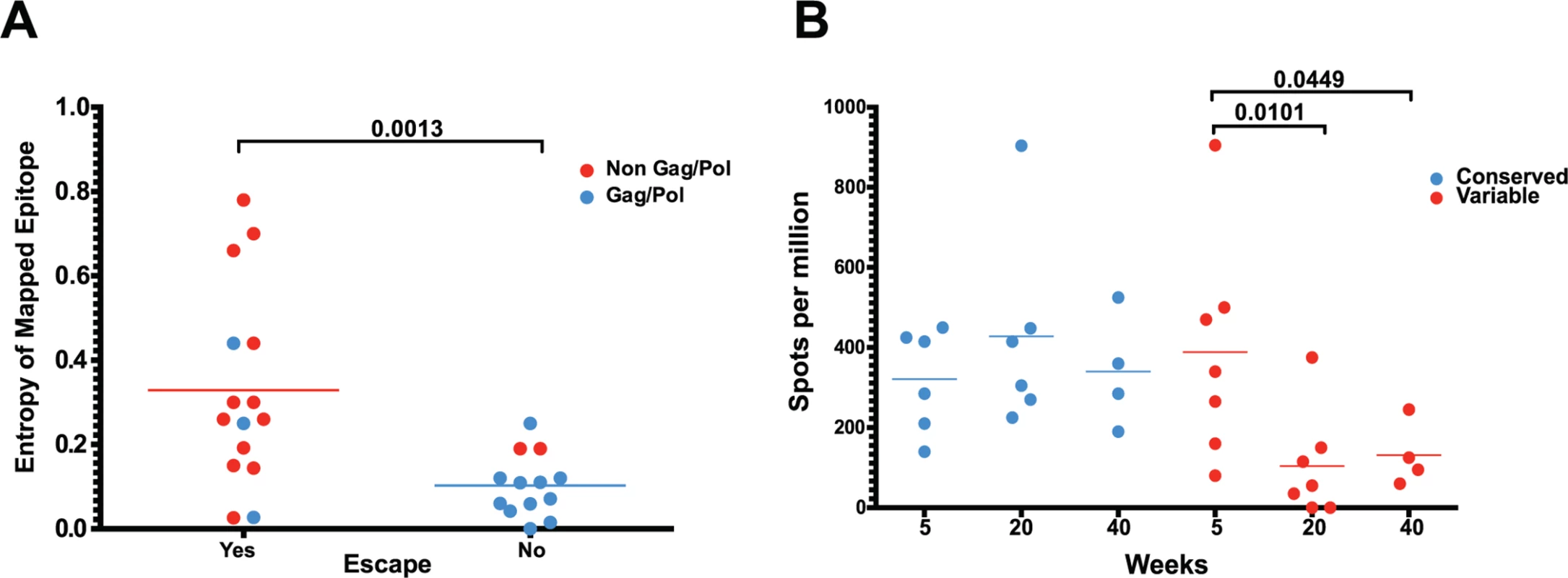 As entropic epitopes escape, the CD8 T cell responses specific for these epitopes wane.