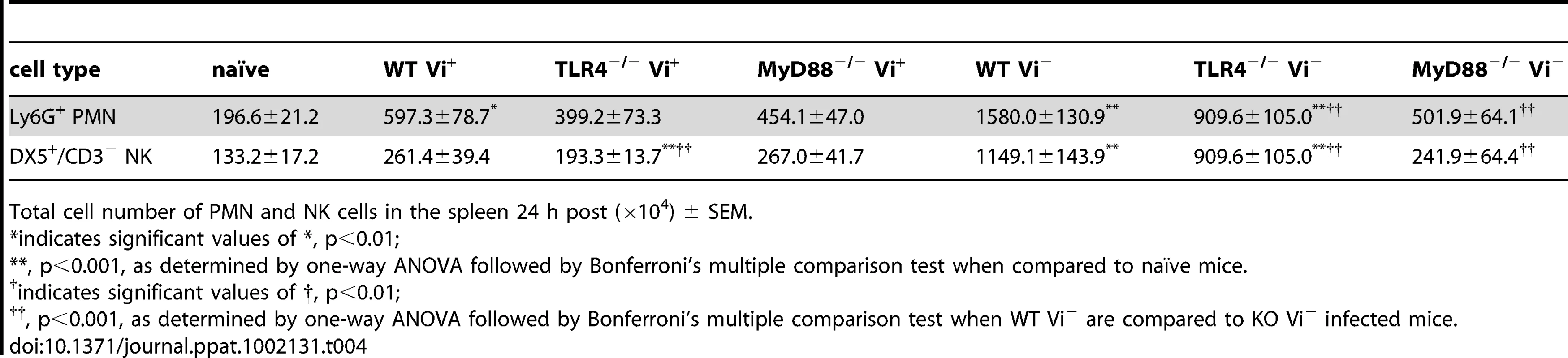 Total number of PMN and NK cells after infection with Vi<sup>+</sup> or Vi<sup>−</sup> <i>S.</i> Typhimurium in TLR4<sup>−/−</sup> and MyD88<sup>−/−</sup> mice.