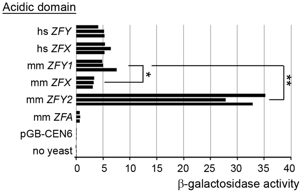 <i>Zfy2</i> acidic domain is a much more potent transactivator than other <i>‘Zf’</i> acidic domains.