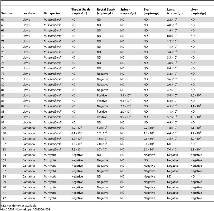 Quantification of LLOV by TaqMan Real Time PCR.