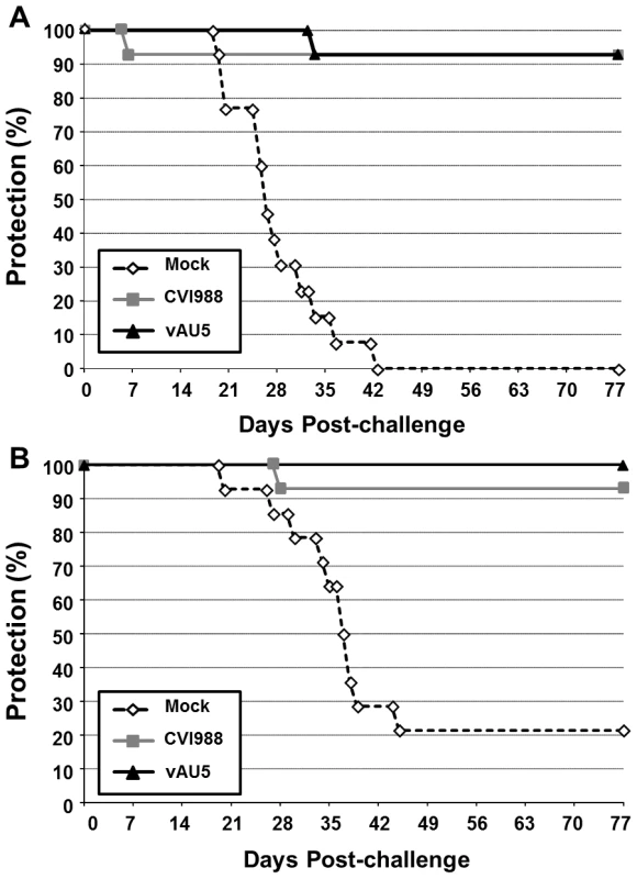 Immunization with the vAU5 mutant viruses protects chickens from lethal MDV infection.