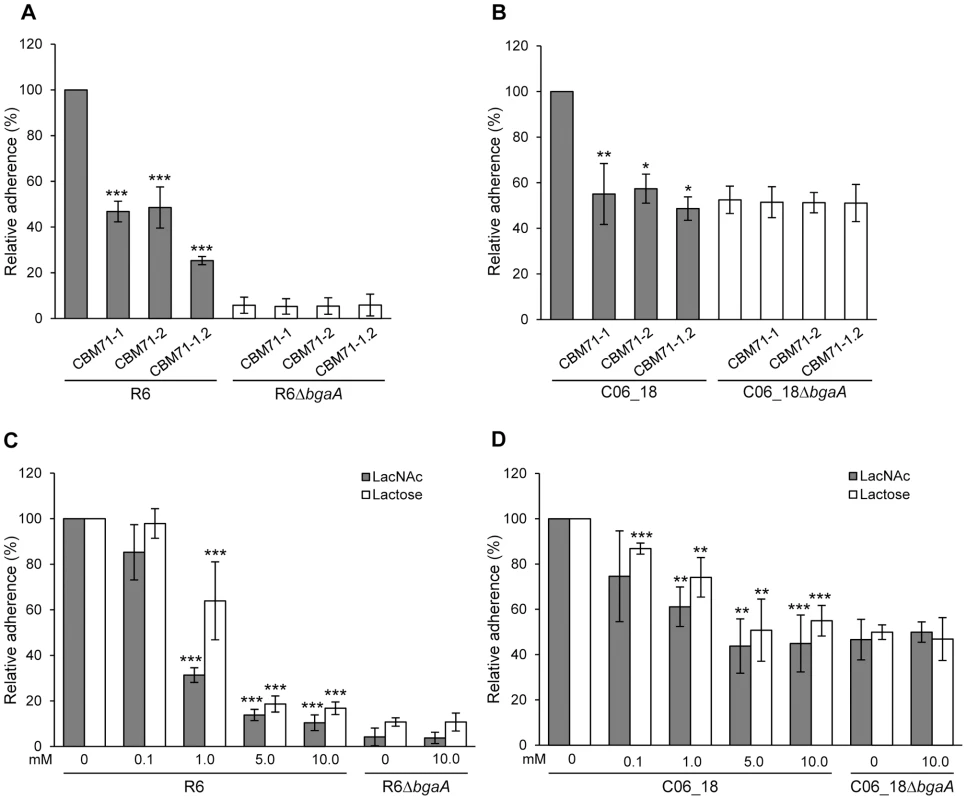 Recombinant CBMs and LacNAc and/or lactose reduce pneumococcal adherence in a BgaA-dependent manner.
