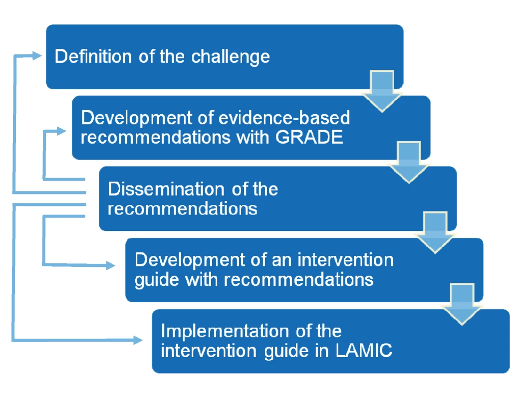 Steps in the formulation and implementation of the <i>mhGAP Intervention Guide</i>.