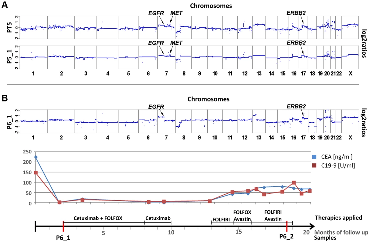 Cases with copy number changes in <i>EGFR</i>, <i>MET</i>, and <i>ERBB2</i>.