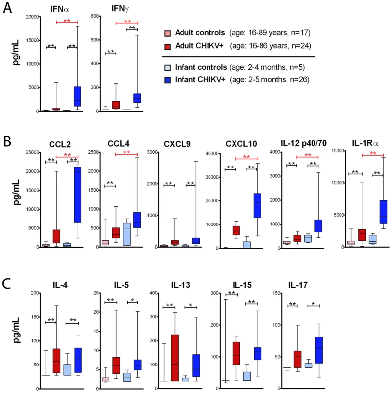 Serum concentration of IFN and IFN-induced chemokines is higher in CHIKV infected infants as compared to adults.