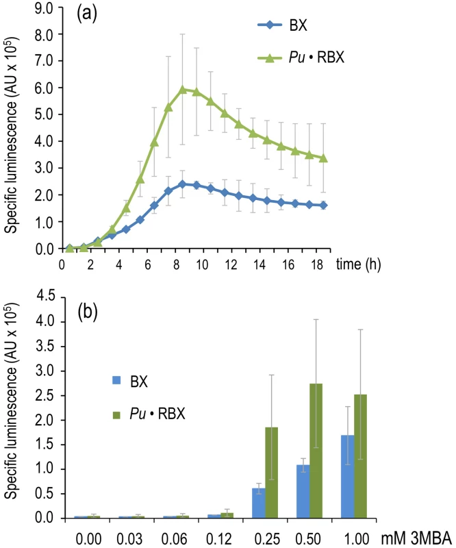 Effector sensitivity of strains expressing <i>xylR</i> through a negative or positive feedback loop.
