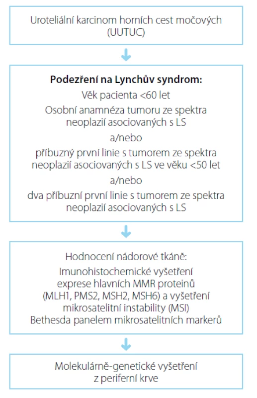 Diagnostický algoritmus při podezření na LS
Fig. 1. Diagnostic algorithm in case of LS suspicion