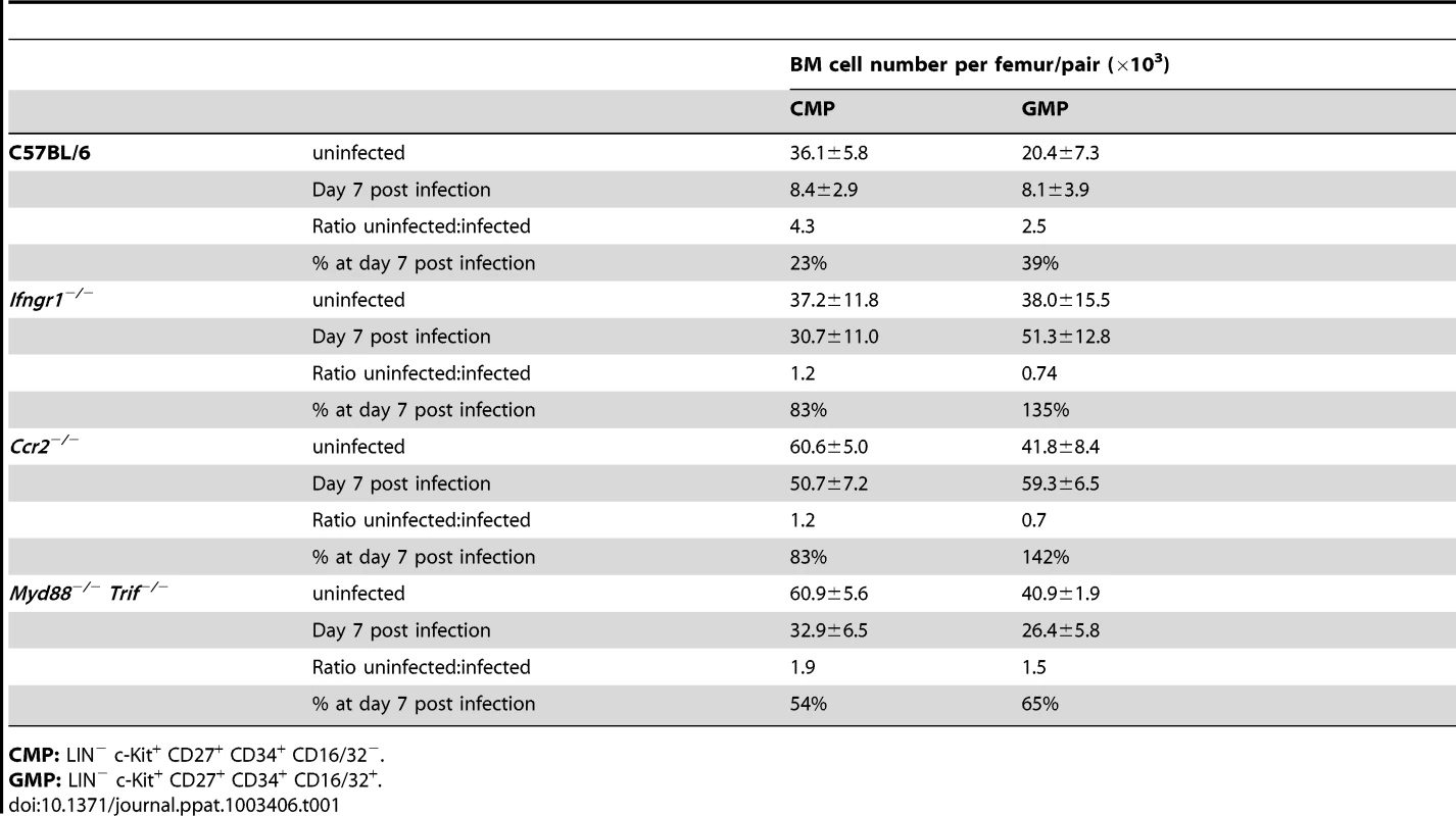 Compilation of absolute numbers of CMP and GMP of bone marrow cells in steady state and at day 7 after infection with <i>Plasmodium chabaudi</i> in C57BL/6 mice and various mutant mouse strains.