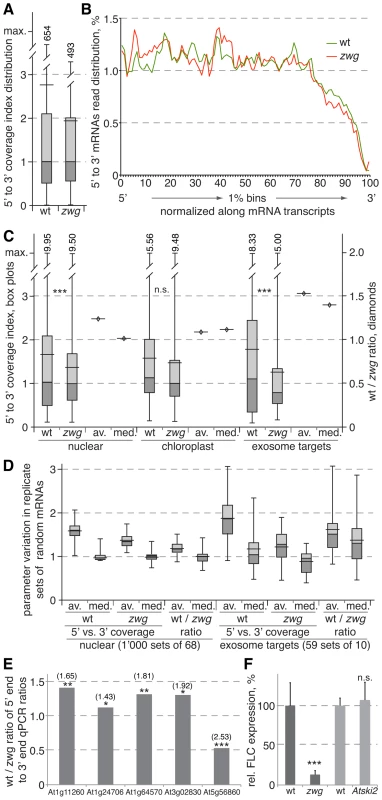 Analysis of random-primed RNA sequencing of wild-type and <i>vip3<sup>zwg</sup></i> mRNAs.