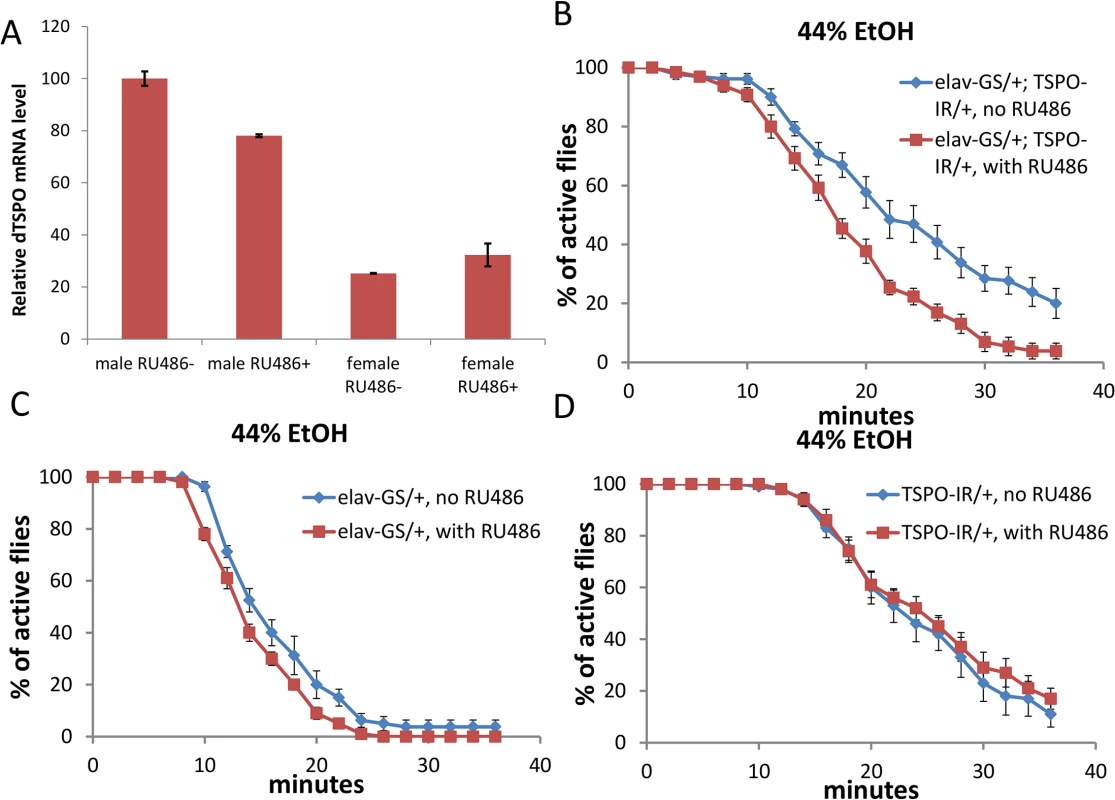 High male brain expression of TSPO associated with increased ethanol sensitivity in male neuronal dTSPO knockdown flies.