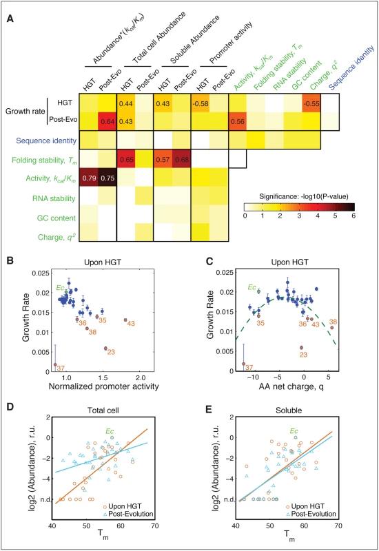 The role of molecular and cellular properties in the fitness effects of HGT.