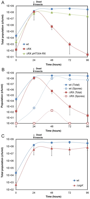 NprR allows <i>Bt</i> to survive in insect cadavers by a process independent of sporulation.