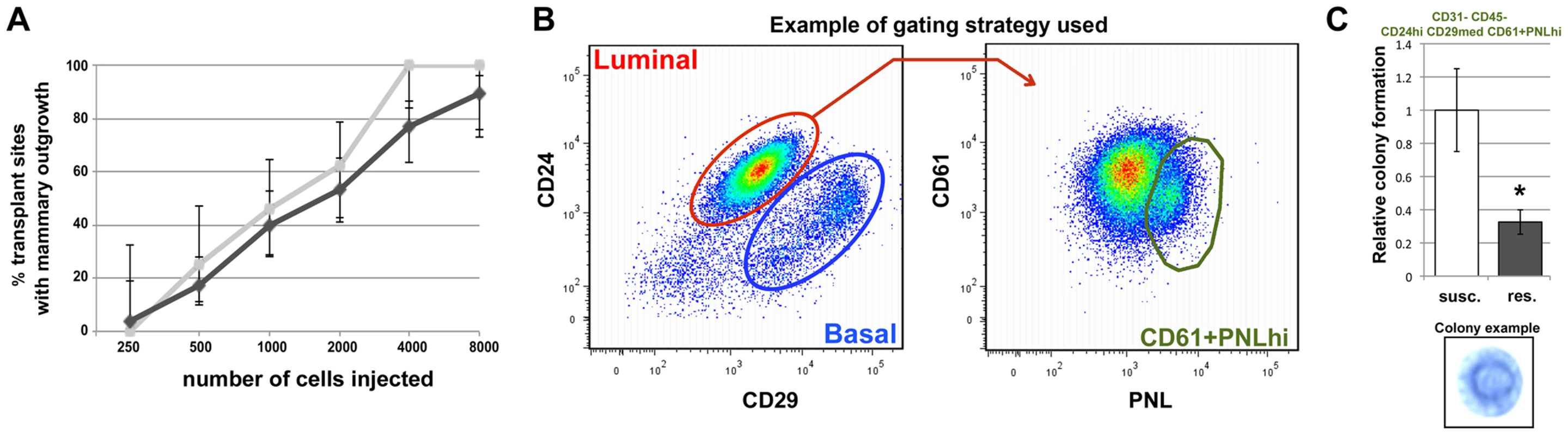 <i>Mcs1a</i> affects rat mammary epithelial cell (RMEC) growth and differentiation.
