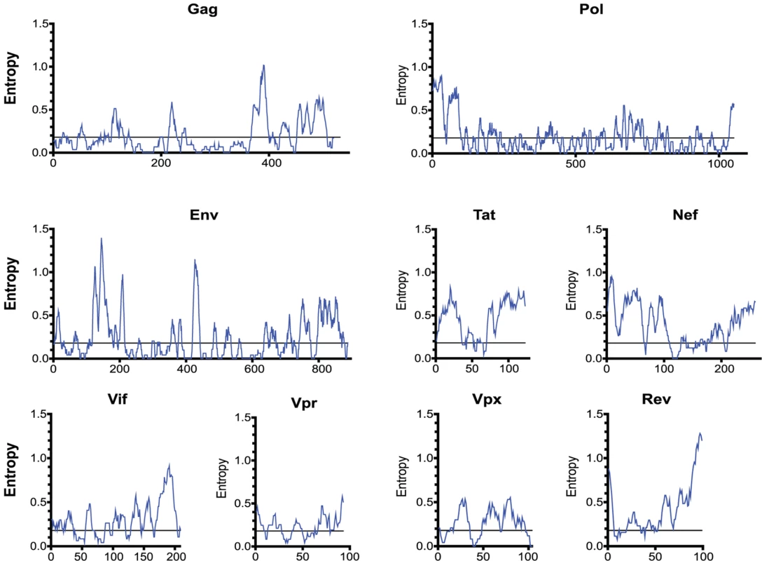 The entropy of SIVsmm proteins varies widely.