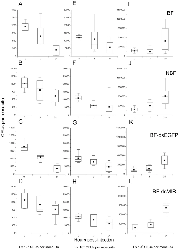 Survival of <i>E. coli</i> in <i>A. aegypti</i> varies with feeding and initial infection dose.