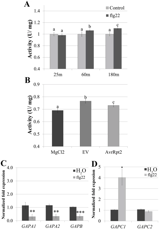 <i>GAPDH</i> transcription and enzymatic activity dynamically change during immune responses.