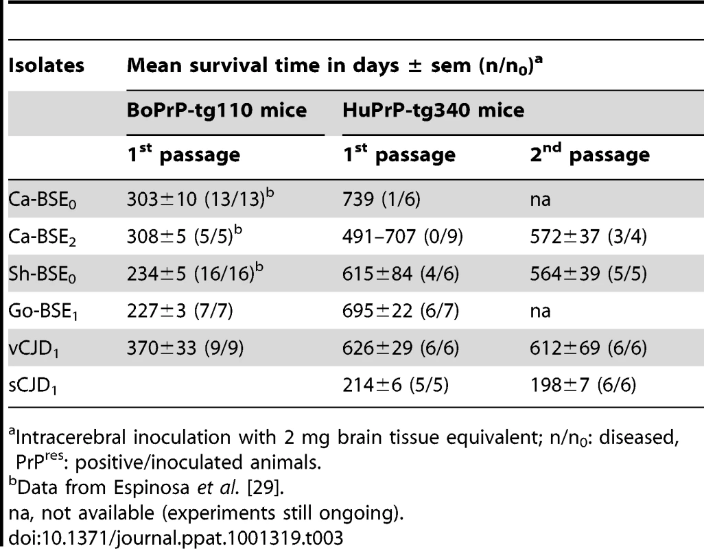 Transmission of bovine, ovine and goat-BSE isolates to tg340 (CISA).