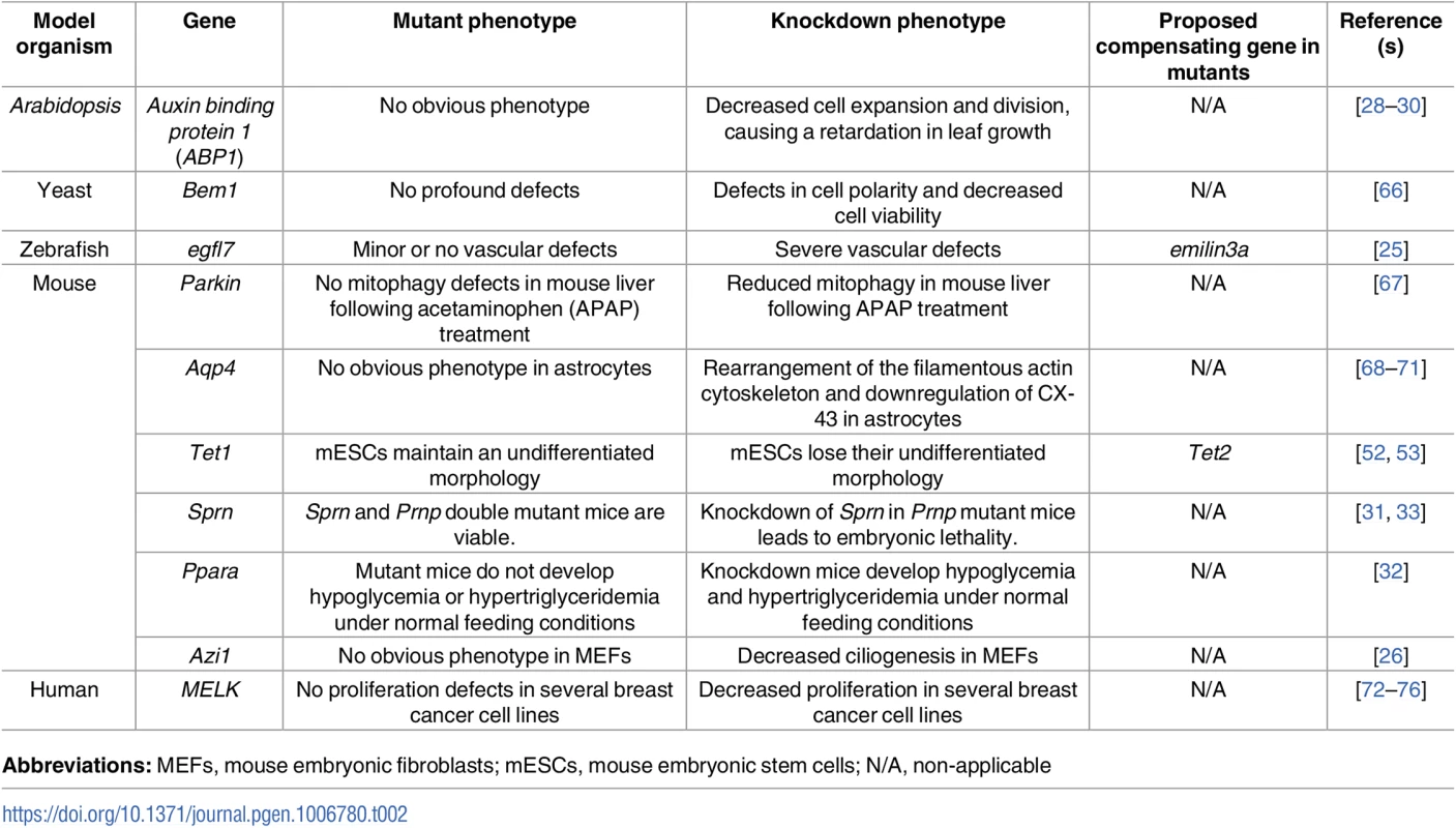 Examples of discrepancies between mutant and knockdown phenotypes.