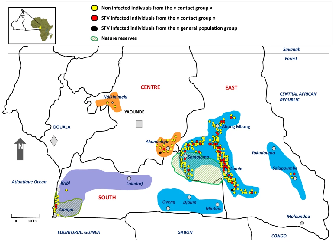 Geographic distribution of the studied population.