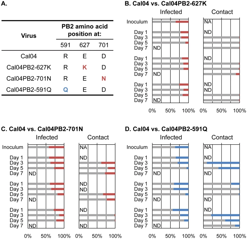 Competitive transmission studies in ferrets for wild-type and mutant pandemic H1N1 viruses.