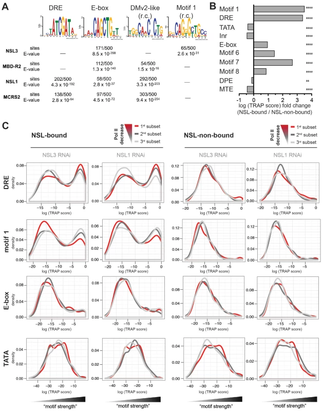 NSL target regions are enriched for housekeeping gene motifs, but only DRE and motif 1 are directly related to Pol II loss upon NSL depletion.