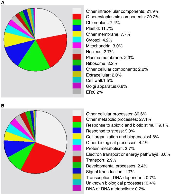 Functional categorization of heat-induced insoluble proteins.