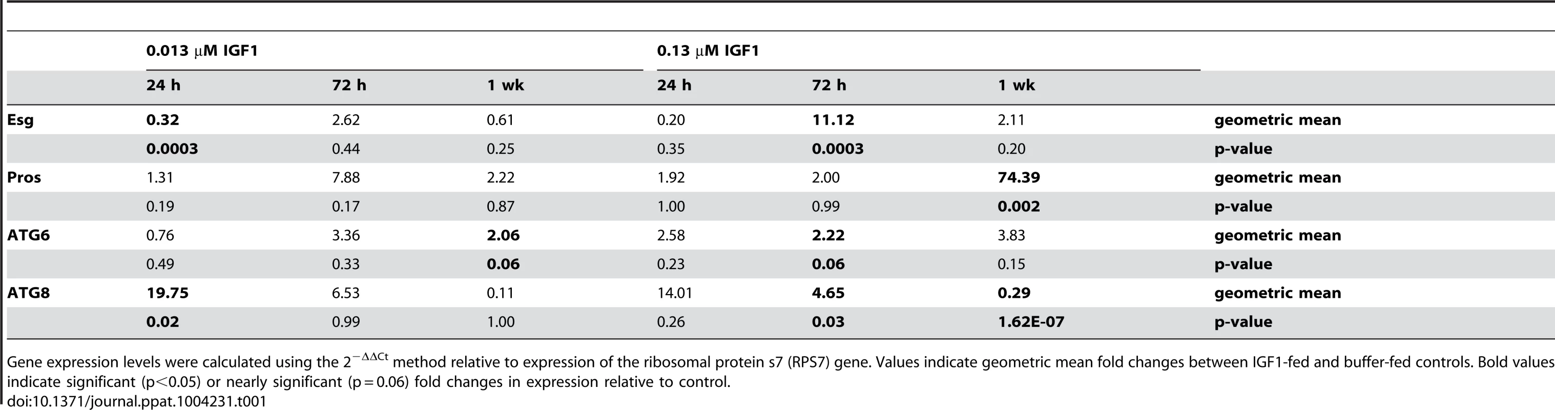 IGF1 regulates autophagy and ISC homeostatic processes in a concentration dependent manner.