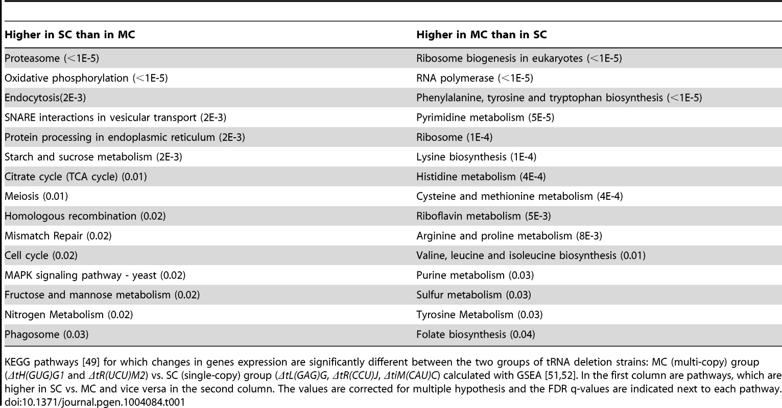 KEGG pathways differentiating between tRNA deletion sets.