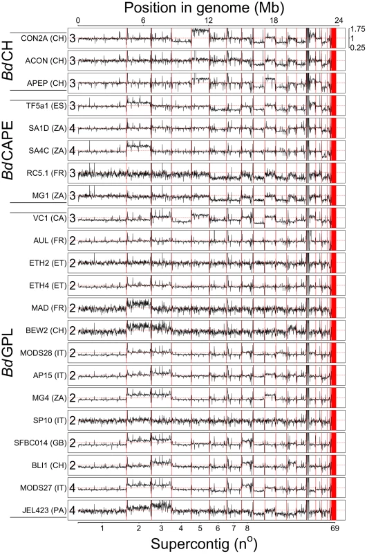 Read depth across 22 genomes was normalised by total alignment depth and plotted against location in the genome using a 10 Kb long non-overlapping sliding window.