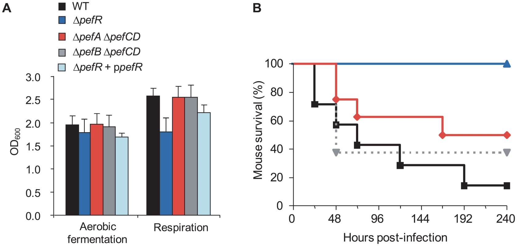 Physiological consequences of <i>pef</i> mutations.
