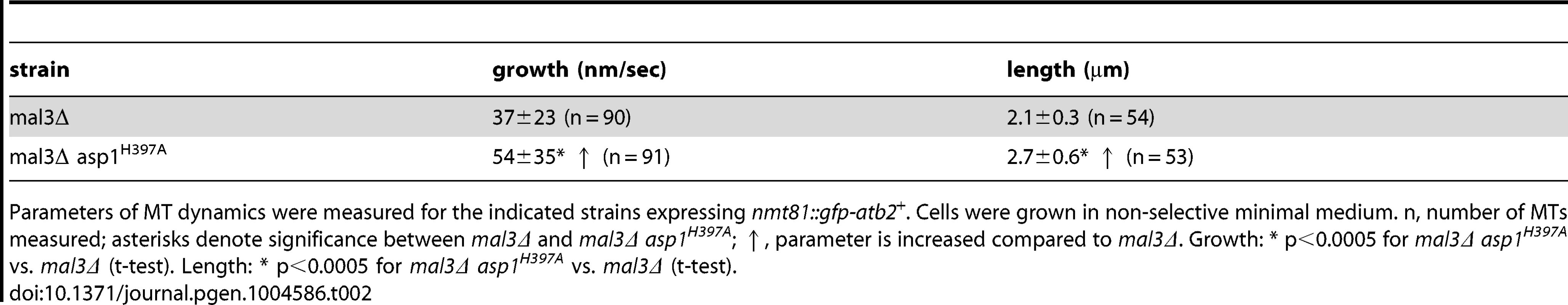 Interphase MT dynamics in <i>mal3Δ</i> variant strains.
