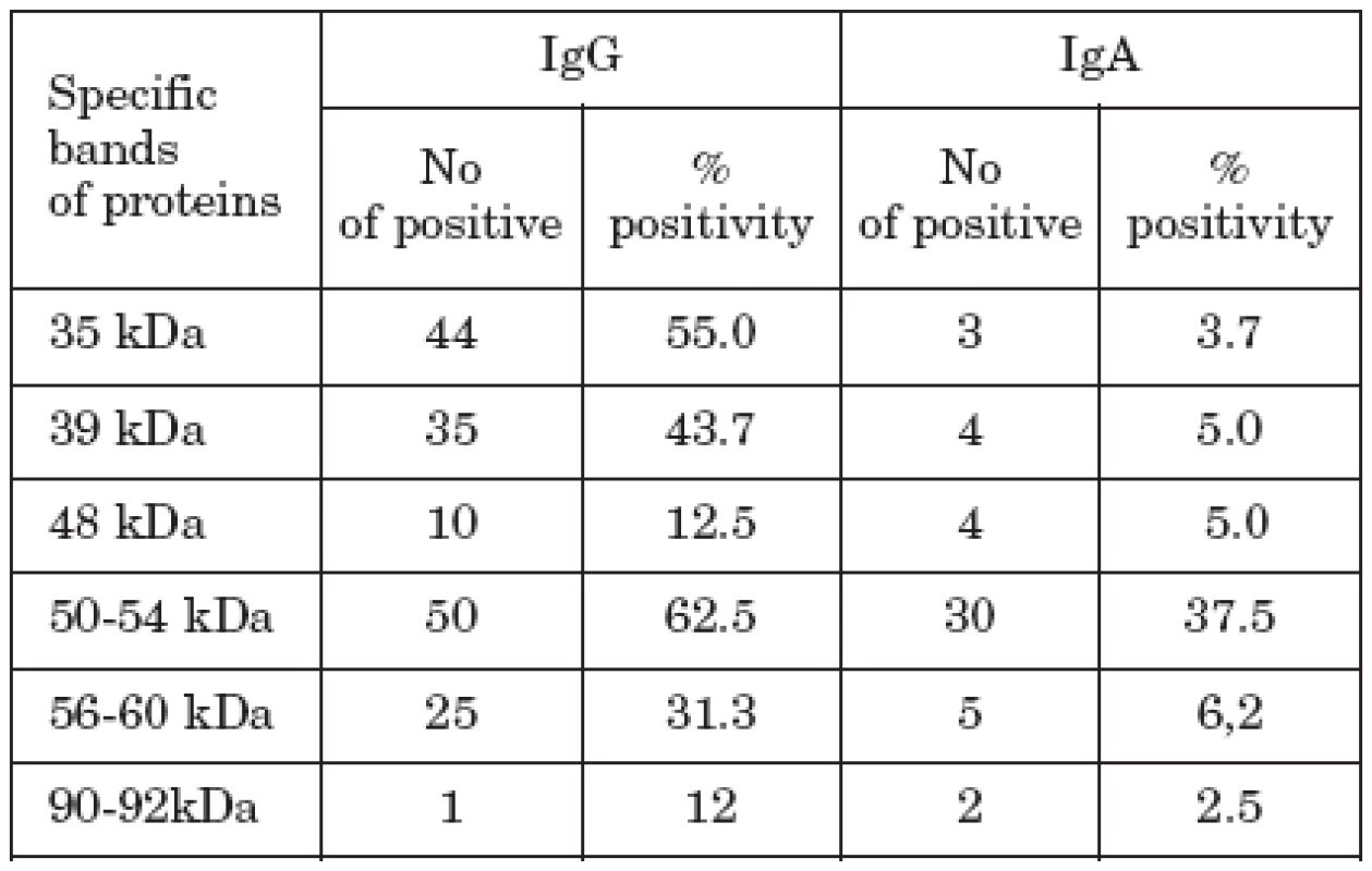 The reactivities of sera of CVD patients with C. pneumoniae antigens in IB.