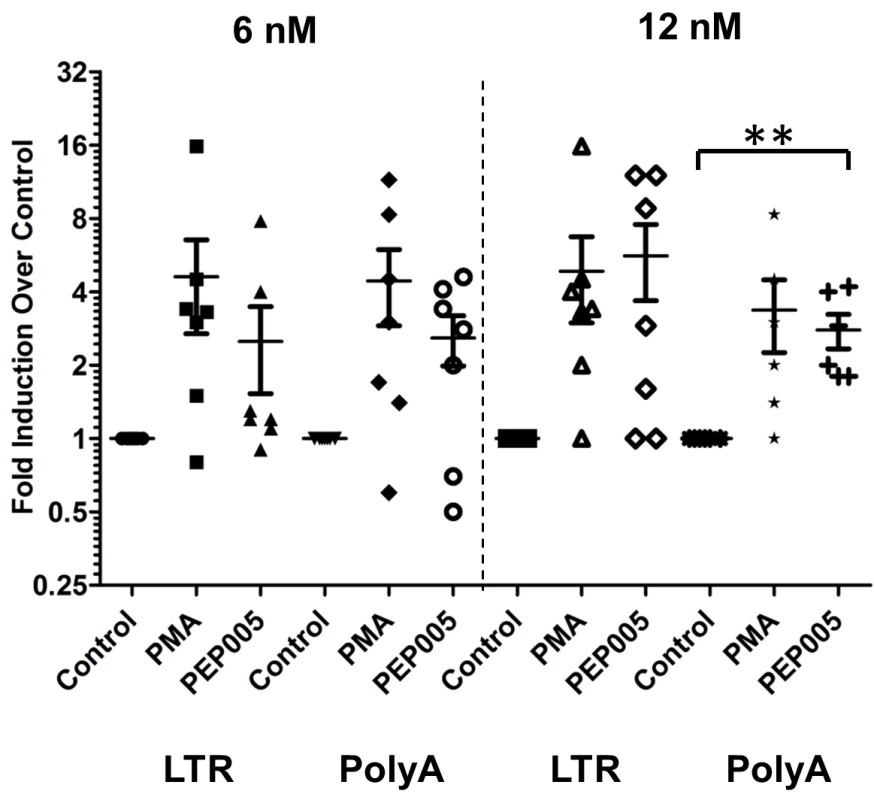 PEP005 induces full-length HIV transcripts in primary CD4+ T cells from HIV infected individuals on suppressive ART.