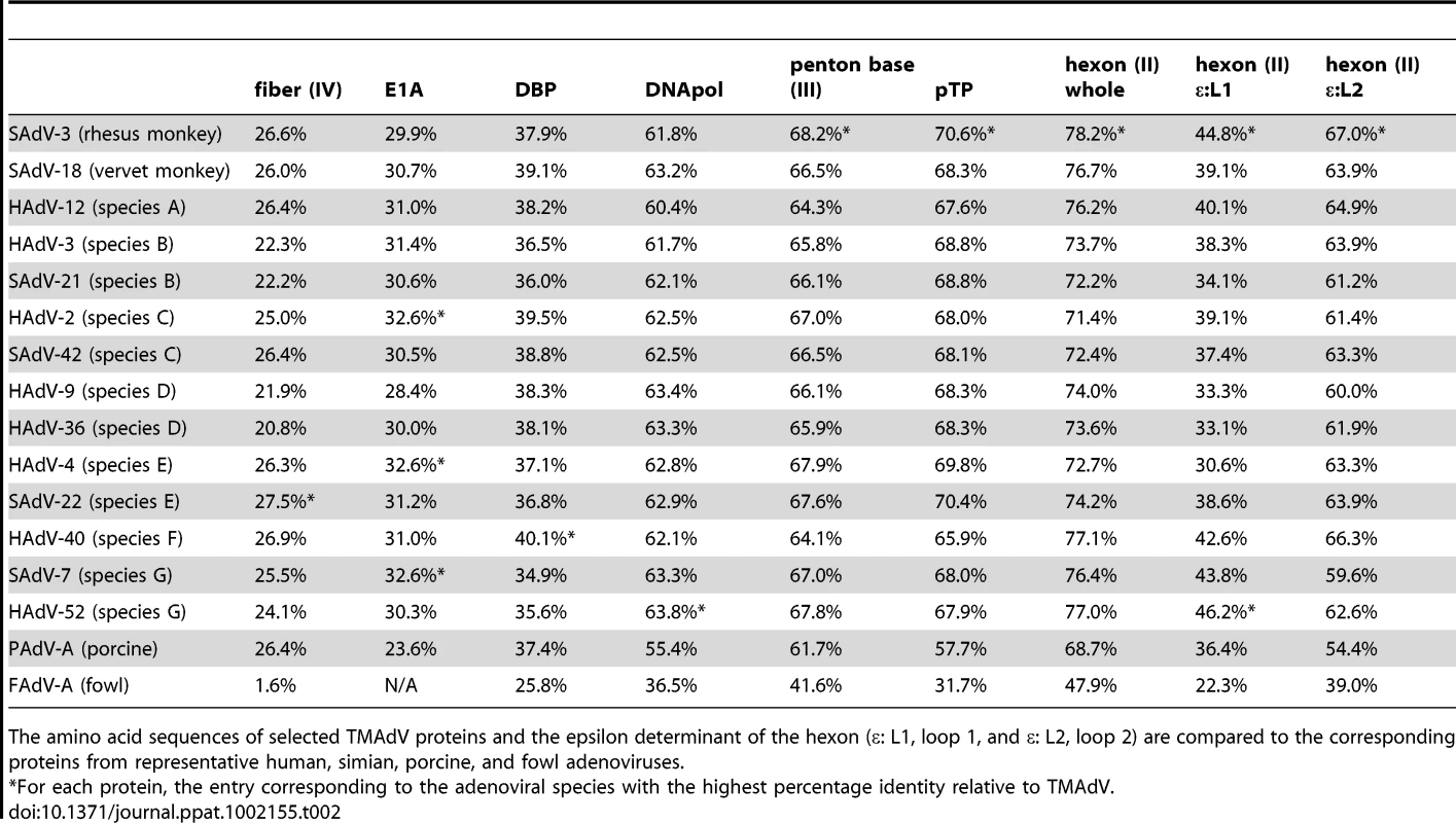 Amino acid identity of TMAdV relative to other adenoviruses.