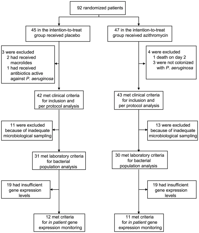 Patient enrollment and follow-up.