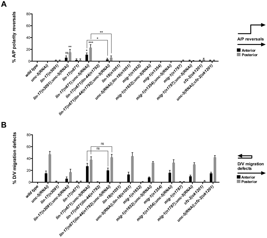 UNC-5 and the Wnt Frizzled receptor LIN-17 function redundantly to determine DTC phase 3 A/P polarity.