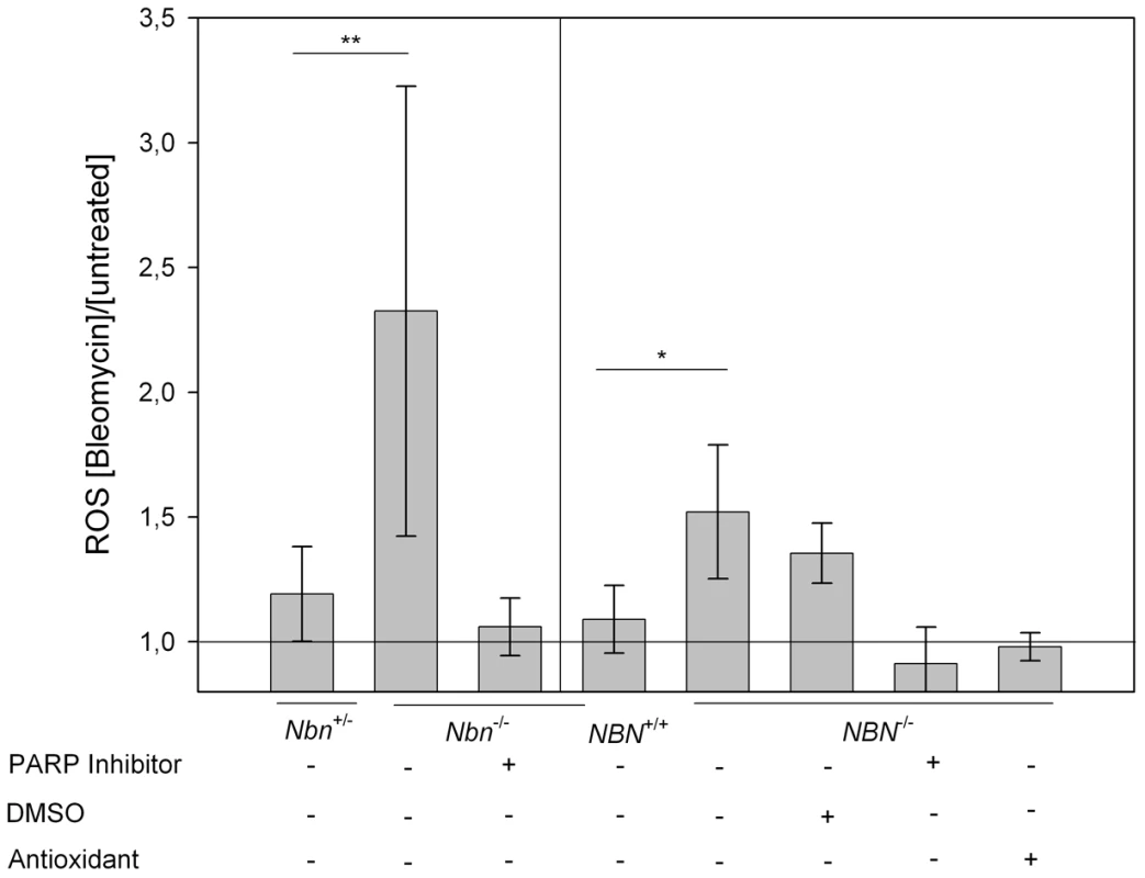 ROS in <i>Nbn</i> null mutant murine fibroblasts and NBS patient cells after DNA damage.