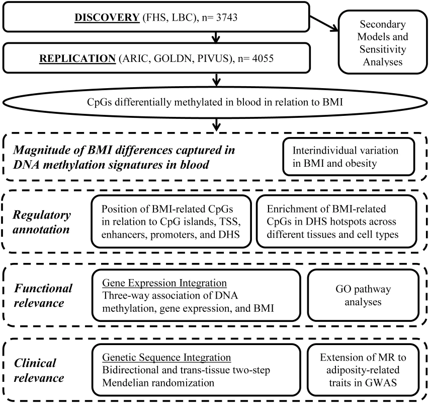 Series of analyses conducted for the epigenome-wide association study of body mass index.