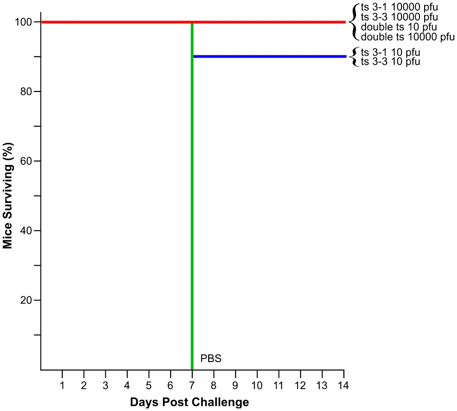 Kaplan-Meier analysis of mouse survival after challenge.