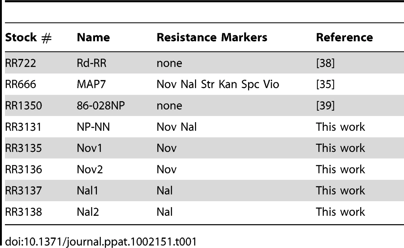 Strains used.