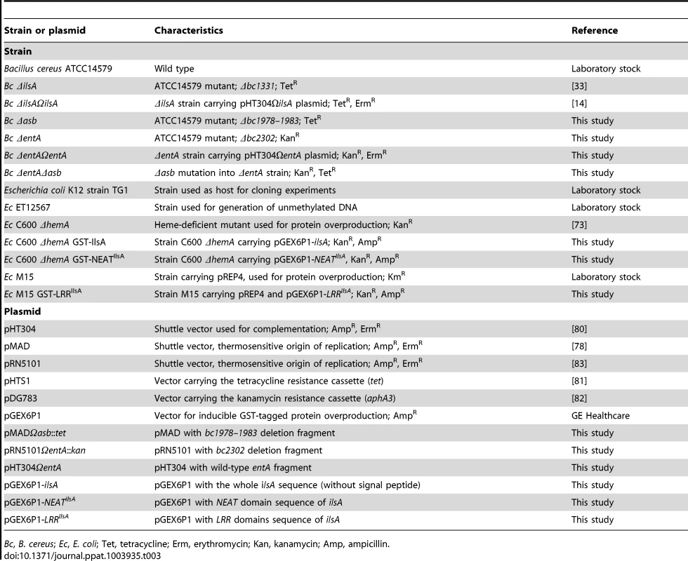 Strains and plasmids used in this work.