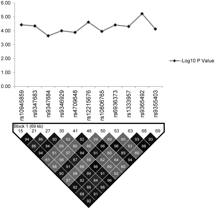 The association statistics of the 11 significant SNPs in the regulatory region of the PARK2 and PACRG genes; presented as negative logarithm of the <i>P</i>-Value and their linkage disequilibrium (LD) plot based on pairwise LD for r<sup>2</sup> cut off value ≥0.80.