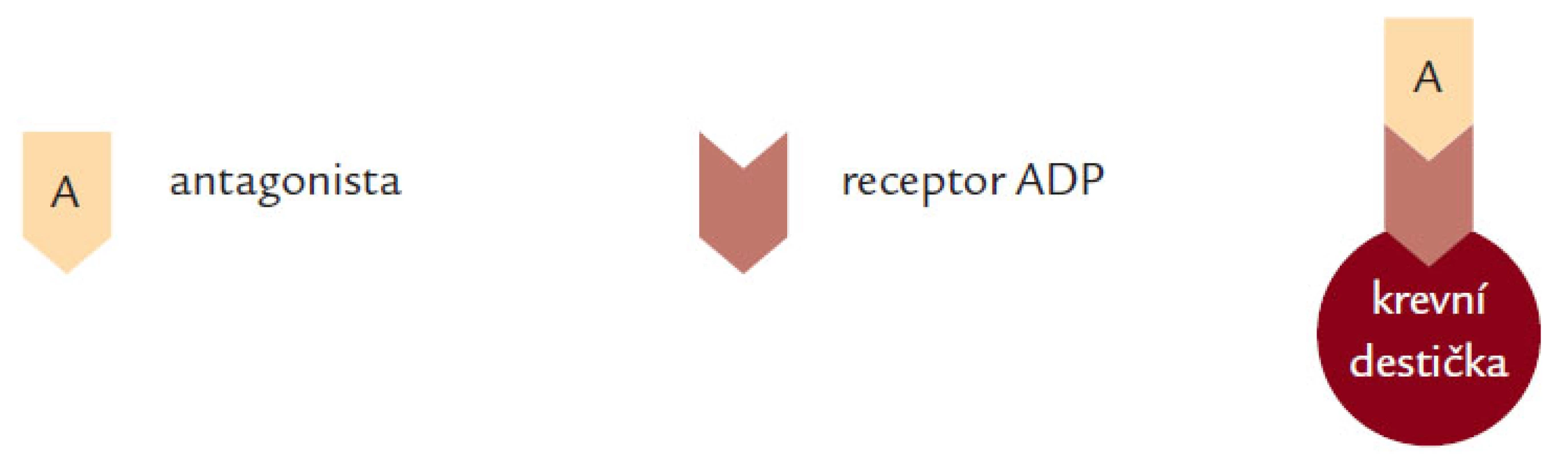 Blokace receptoru pro ADP.