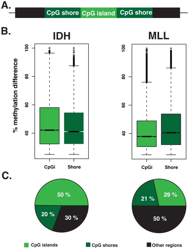 CpG islands and CpG shores show subtype-specific changes in the two types of AML.