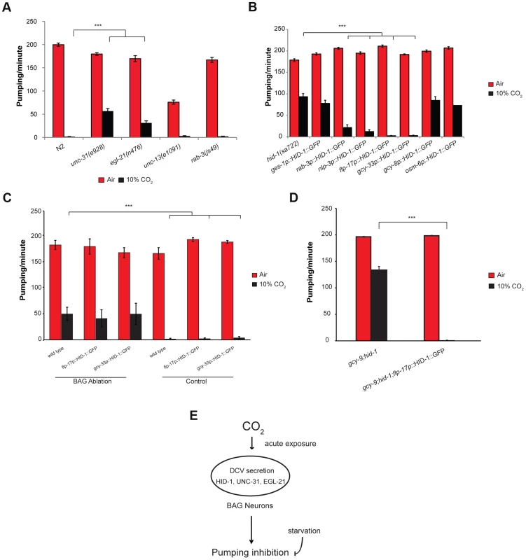 The effect of high CO<sub>2</sub> level on the pharynx requires HID-1 activity in the BAG neurons.