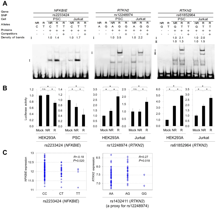 Evaluation of candidate regulatory SNPs <i>in vitro</i>.