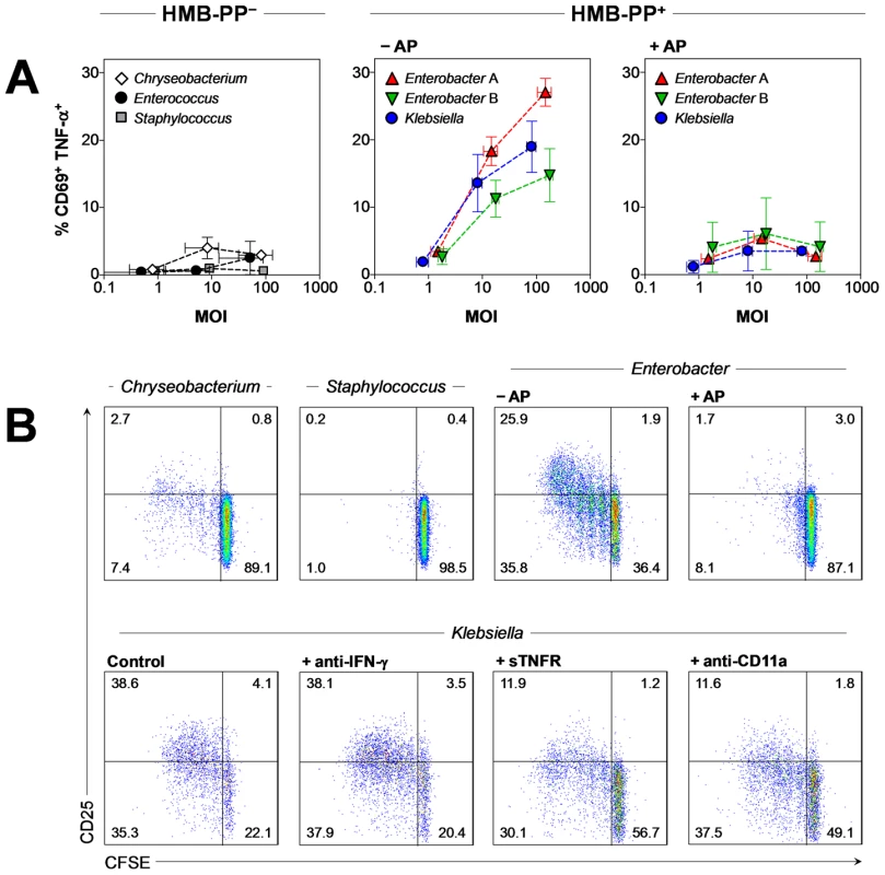 Vγ9/Vδ2 T cells respond to HMB-PP producing Gram<sup><b>+</b></sup> and Gram<sup><b>−</b></sup> bacteria but not to HMB-PP deficient bacteria.