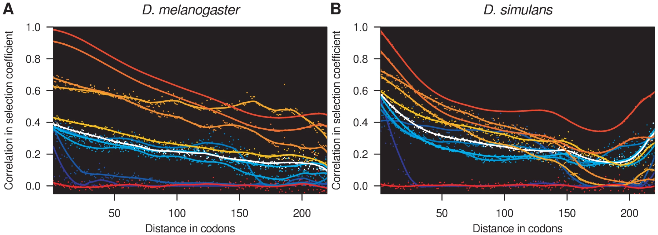Spatial correlation in selection coefficients.