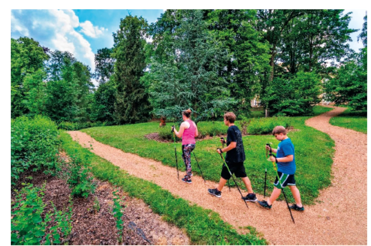 Nordic walking.<br>
Fig. 5. Nordic walking.