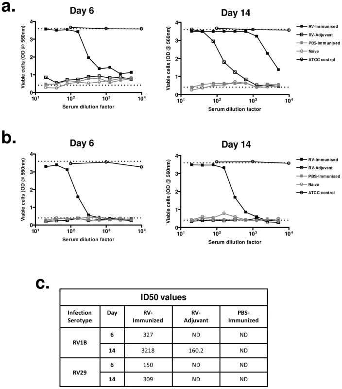 Immunization enhances and accelerates the generation of neutralizing antibodies to a heterologous infecting virus.